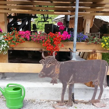 ゲストハウス ランドハウス シーホフ 3*