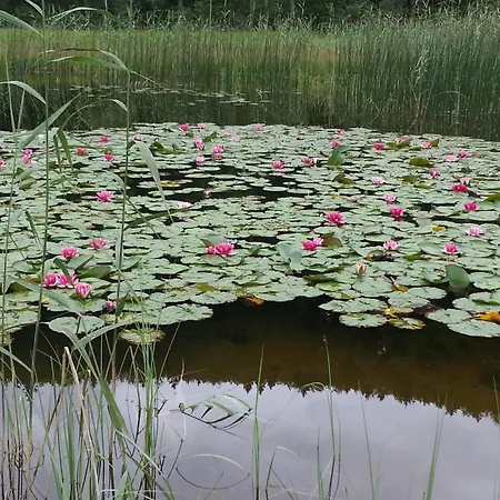 ランドハウス シーホフ フュッセン