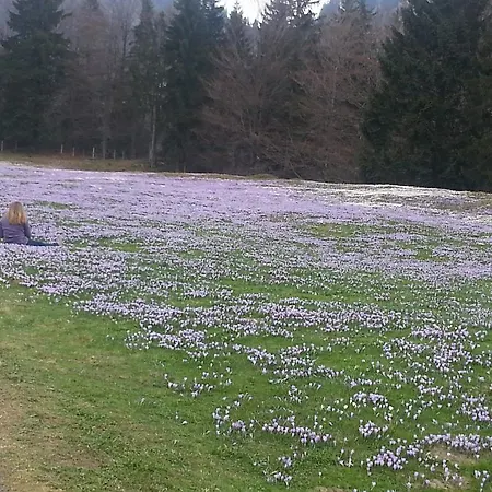 Seehof Vendégház Füssen