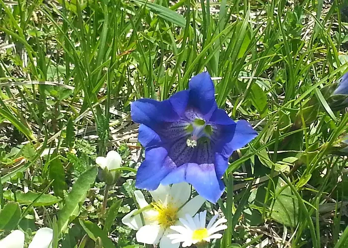 Seehof Affittacamere