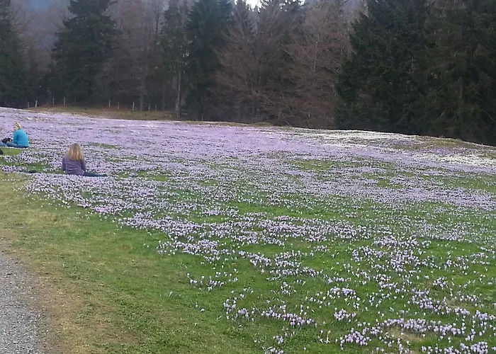 Seehof Affittacamere Füssen